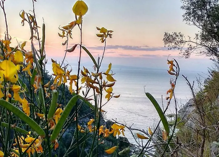 Desiree Отель 2*