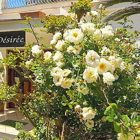 西瑞酒店 酒店 2*