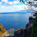 Desiree 2* Σορέντο
